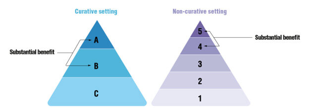ESBO-MCBS评分金字塔
