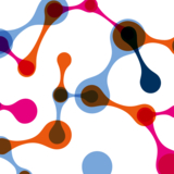 地图-2021-1000x1000.